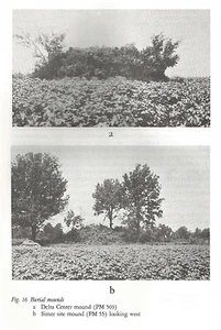 Libro de Arqueología Indígena de Missouri Nuevo Madrid, MO Caruthersville, MO M7c - Imagen 1 de 2