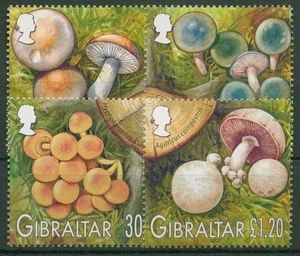 Gibraltar 2003 Einheimische Pilze 1054/57 postfrisch - Picture 1 of 1