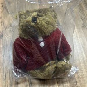 Vintage 1999 Little Teddy Left Behind Stuffed Bear Plush | New Original Package - Picture 1 of 6