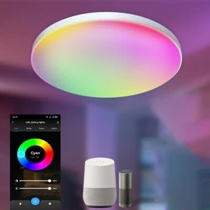 Smart Ceiling Light 24W 12" Flush Mount - Alexa & Google Home Compatible RGB LED - Picture 1 of 7