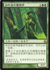 Magic Mtg Chinese Morningtide Gilt-Leaf Archdruid   near mint