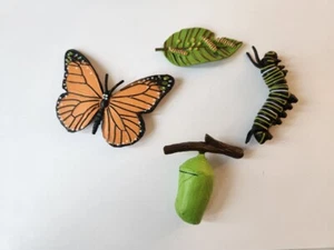 Butterfly Life Cycle Educational Toy Set, New, 4-stage, Montessori  - Picture 1 of 5