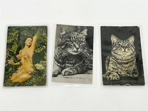 ThriftCHI ~ 3 Vintage Squeeker Postcards Pinup Girl Cats RPPC - Picture 1 of 9