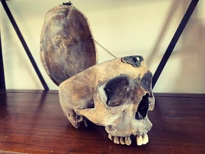 Oddities / Cabinet de curiosités / coffre crane humain résine - Imagen 1 de 4