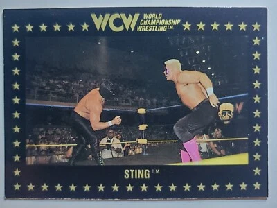 1991 Championship Marketing WCW #55 STING - Image 1 of 2