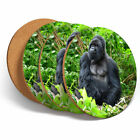 4 Set - Silverback Mountain Gorilla Coasters -Kitchen Drinks Coaster Gift #3014
