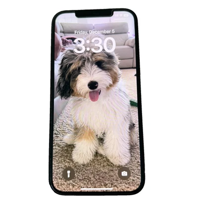 Apple iPhone 12 Pro Max - 256 GB - Pacific Blue (Unlocked) Great Condition - Image 1 of 4