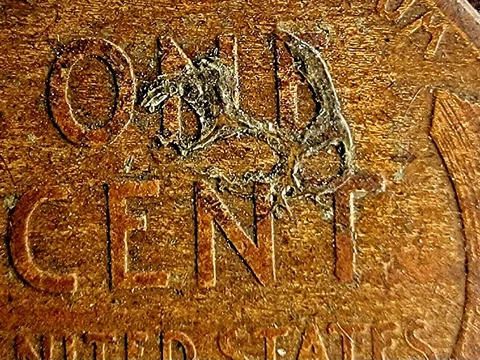 1917-D Error Wheat Cent / LG Die Break, Extra Metal Error On Reverse Cover