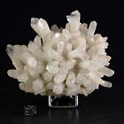 Busch- Aus Kristall Mit Digitations Reflects Grn 524 G Kurioses Mineral