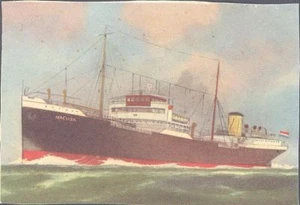 John Wood (NL) - On the Long Swell - 261 - Macuba - Picture 1 of 5