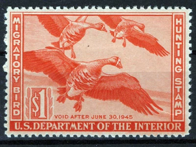 US RW11 MH VF $1 White-Fronted Geese Duck Revenue Zayix Stamps 0225MAR0029 - Image 1 of 2