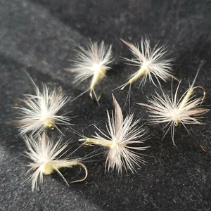 TROUT DRY FLY SIZE 8 GREEN DRAKE EASTERN CUSTOM TIED FRONTIER FISHING FLIES - Picture 1 of 3