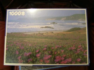 Rompecabezas King Sardegna Costa Verde 1000 piezas 67 cm por 48 cm - Imagen 1 de 3