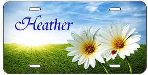 PERSONALIZED CUSTOM LICENSE PLATE DAISY AND LADY BUG AUTO TAG - Picture 1 of 1