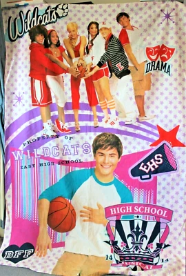 High School Musical Disney Single Quilt Cover & P/case Set Wildcats Zac Efron Vg - Image 1 of 4