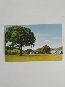Postkarte Chrom Ulme auf einer Farmwanne in Vermont 15.  - Bild 1 von 2