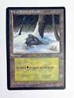 MTG ICE AGE Snow Covered Plains Swamp Forest Mountain Island Magic The Gathering