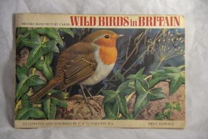 Brooke Bond Picture Cards “Wild Birds in Britain” Complete Set - Imagen 1 de 8