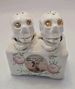 Vintage Rose Skull Nodders Salt & Pepper Shakers Sioux Trading Post Ogallaia NE - Picture 1 of 14