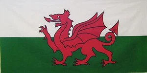 Welsh Dragon Wales Rugby flag fabric red white green size of flag 124cm x 64cm - Picture 1 of 1