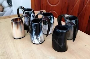 6er Set Wikinger Trinkhorn Becher 100% echt Bierhorn Krug Natur Geschenk - Bild 1 von 4