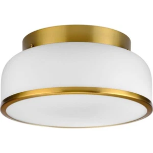 Progress Lighting P350255-109 Parkhurst - 30W 2 LED Flush Mount In Traditional - Picture 1 of 4