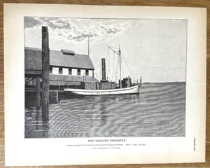 Vaporera de sardina para coleccionar arenque 1887 impresión de pesca antigua - Imagen 1 de 14