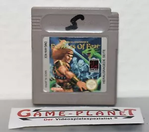 RPG de acción Fortress of Fear Wizards and Warriors x Nintendo Game Boy GB - Imagen 1 de 1