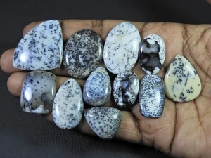 11Pcs Natural Dendrite Opal Mix Shape Cabochon Loose Gemstone Lot 233cts. o288 - Picture 1 of 9