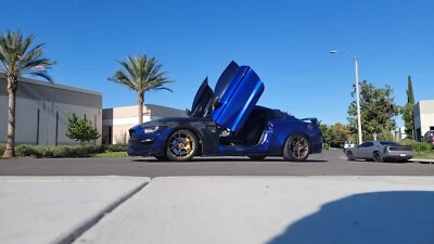 Ford Mustang 2015 - 2023 Kit de puerta vertical Lambo puertas verticales Inc Ford 15-23 Foto 1 de 4