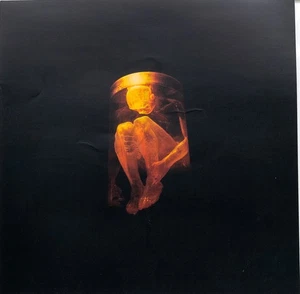 ALICE IN CHAINS NOTHING SAFE Album Cover Promo 12x12 Flat Double Sided Poster - Picture 1 of 2