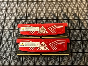 Neo Forza 16GB (2x8GB) DDR4 DRAM 3000MHz C15 RAM-Desktop Ram - Picture 1 of 2