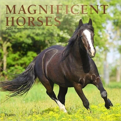 Magnificent Horses | 2026 12x24" (Hanging) Monthly Square Wall Calendar - Image 1 of 4