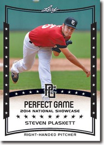 (12) STEVEN PLASKETT 2014 Leaf *PERFECT GAME*  Baseball Rookie RC LOT