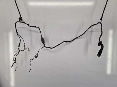 BMW 5 SERIES G30/G31/LCI 2020-2023 RIGHT REAR DOOR WIRING LOOM ASSEMBLY 4402216 - Image 1 of 4