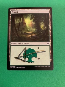 MTG Magic Forest Signed F&B Artist Proof x1 Khans Of Tarkir Adam Paquette - Picture 1 of 2