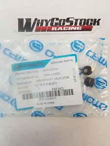 CFMOTO Valve Stem Seals 500 600 625 ATV CF500 Engine 800 - Foto 1 di 1
