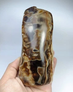 Natural Polished Chocolate Banded Aragonite Freeform from Pakistan, 605 grams. - Picture 1 of 8