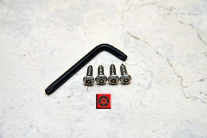 Security Theft Deterrent Screws for AUDI FRONT License Plate Frame (4 pcs) - Picture 1 of 1