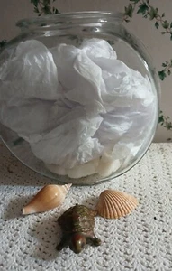Vintage Glass 7"Diameter Small Goldfish Fish🐠Bowl +Ceramic Turtle&Shells🐚NICE! - Picture 1 of 9