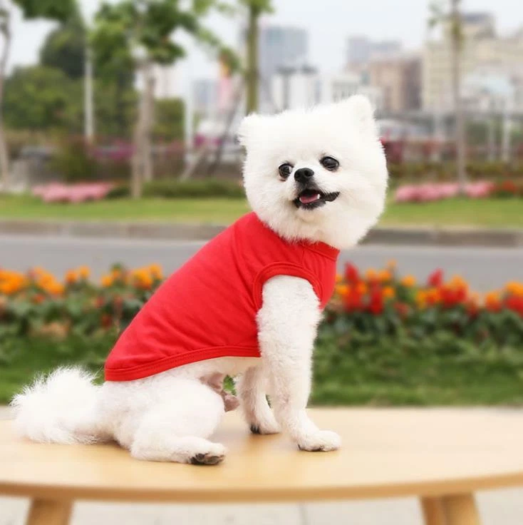 Camisa 100 % algodón para perro ropa para mascotas cachorro camisetas gato camiseta transpirable elástica Foto 1 de 3