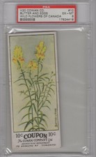 1920 Cowan Co. V20 Wild Flowers of Canada #10 Butter And Eggs Graded PSA 6