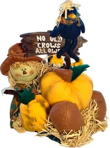 HALLOWEEN Spaventapasseri in toppa zucca con insegna “Non ammessi vecchi corvi” 13”H x 11”L - Foto 1 di 7