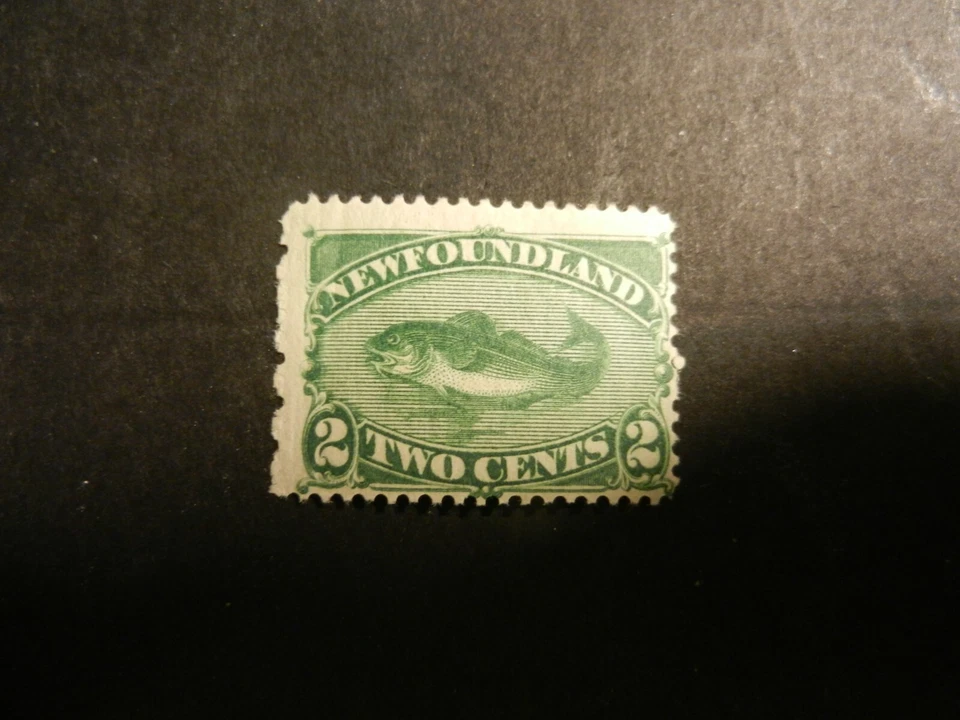 #47 *NEWFOUNDLAND*.  MNH, F, OG.  - Image 1 of 1