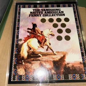 The Vanishing Native American Penny Collection 10 Indian Head Pennies Cents - Bild 1 von 3