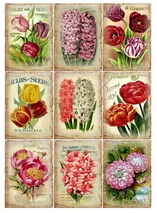 Set of 9 Vintage Retro Wildflowers Spring Ephemera Cotton Craft Fabric Blocks  - Picture 1 of 1