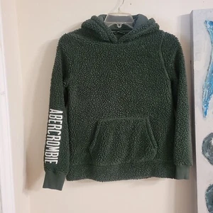 Abercrombie & Fitch Size Small Pullover Sherpa Hoodie  Green Spellout, casual - Picture 1 of 9