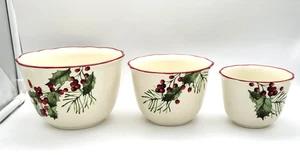 MIGLIORI CASE e GIARDINI FORESTA INVERNALE (3) Ciotole di nidificazione *RARO* - Foto 1 di 7