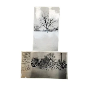 Vtg Snow Scene Tree & Bushes Original Monochrome Photography Found Lot of 2 - Picture 1 of 4