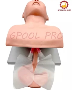 Intubation Manikin Study Teaching Model Airway Management Trainer PVC Teeth NEW - Picture 1 of 6
